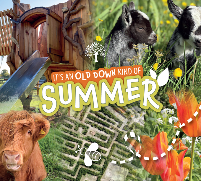 Spring Events 2026 at Old Down Country Park, Bristol.